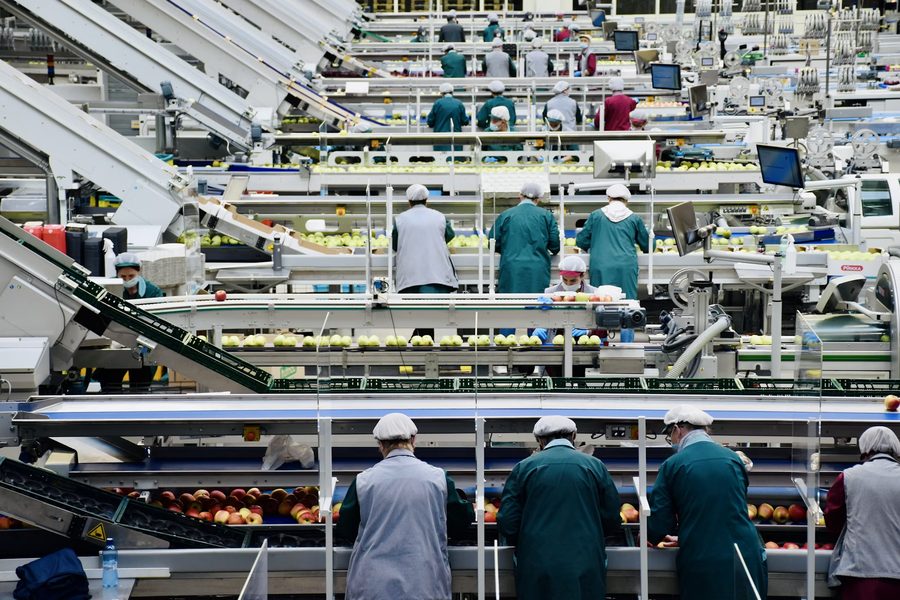 Food production technical support